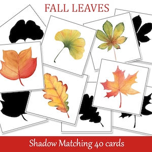 Autumn Leaves Shadow Matching Cards, Toddler Montessori Printable