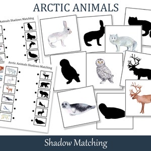Cartões de correspondência de sombras de animais do Ártico, Montessori infantil para impressão, livro ocupado
