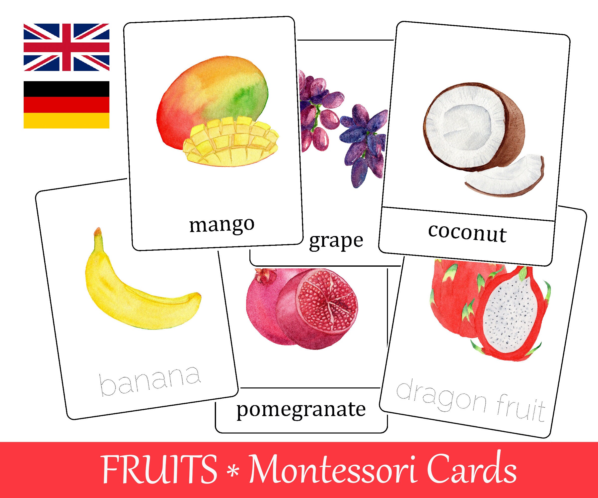 Fruits Watercolor Flash Cards Montessori Three Part Cards Fruits Watercolor Flash Cards Montessori Three Part Cards