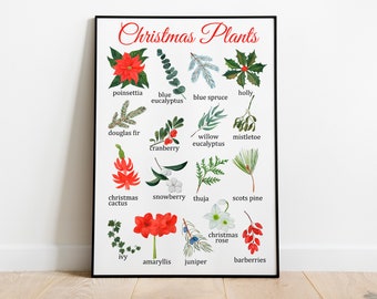 Christmas Plants Identification Montessori Poster, Educational Poster, Winter Greenery and Flowers printables, classroom decor