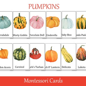 Kürbisse Montessori 3 Teilkarten, Herbst Vorschul Flash Karten, Nomenklatur Karten, druckbare Lernmaterialien