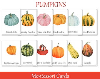 Pumpkins Montessori 3 part cards, Fall Preschool Flash Cards, Nomenclature cards, Printable Educational Materials