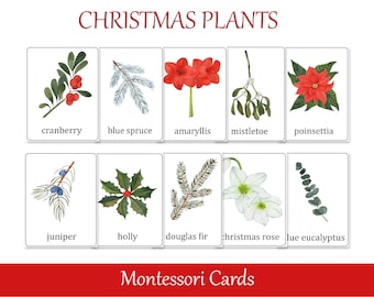 Christmas Plants Identification Montessori 3 part cards, Winter Flowers Preschool Flash Cards, Nomenclature cards, Printable Materials