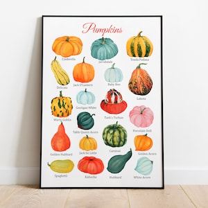 Póster Montessori de calabazas de otoño, Acción de Gracias, Póster educativo, Imprimible en otoño, decoración del aula
