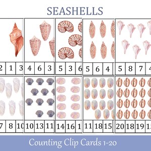 May include: A set of 20 printable counting clip cards featuring watercolor illustrations of seashells. The cards are numbered 1-20 and each card shows a different number of seashells.