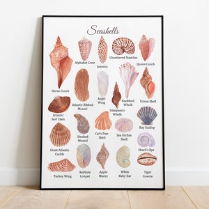 Seashells Montessori Poster, Cartel educativo de verano, Playa imprimible, decoración del aula