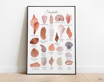 Seashells Montessori Poster, Summer Educational Poster, Beach printable, classroom decor