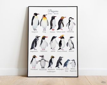 Penguins Montessori Poster, Educational Poster, Types of Penguins printables, King penguin, Emperor, Chinstrap