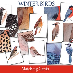 Cartões de correspondência de pássaros de inverno, flashcards de plumagem de pele de pássaros, Montessori infantil para impressão