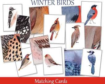 Winter Birds Matching Cards,  Birds Skin Plumage Flashcards, Toddler Montessori Printable