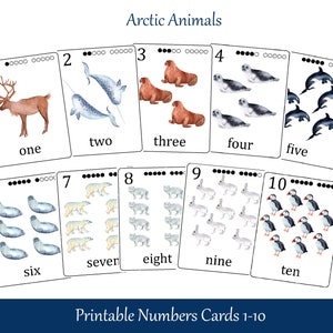 Winter Numbers Flash Cards, Arctic Animals Printable Three Part Cards, Preschool Math, CC017