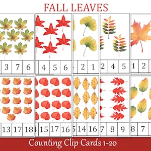 Herfstbladeren tellen en clipkaarten, nummer 1 - 20, Flashcards, herfst Preschool Printables, Montessori tellen