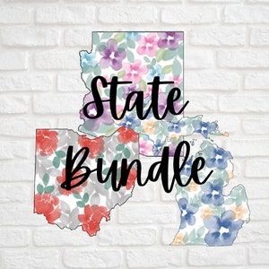 Sticker Bundle - 3 States: AZ, MI, OH