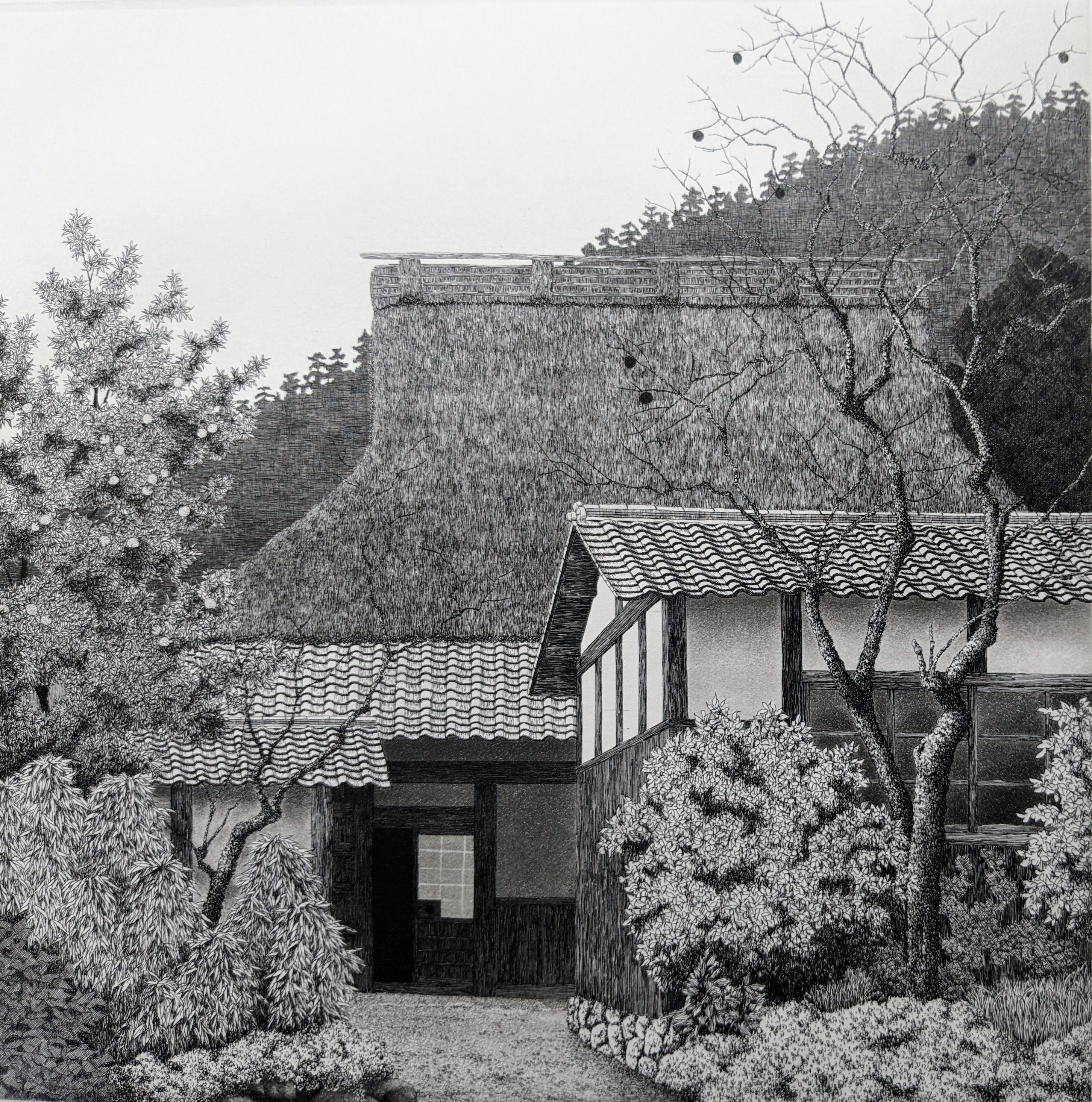 Ryohei Tanaka Acquaforte e acquatinta "Okusaga in Kyoto" 1986, Firmata