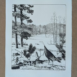 May include: A black and white ink drawing on paper depicting a wild turkey standing in a forest clearing. The scene features tall pine trees, sparse vegetation, and a distant treeline. The print is signed and titled Wild Turkey at the bottom.