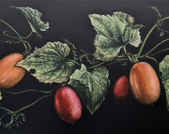 Koji Ikuta Mezzotint "Melon Vine" 2005, Signed