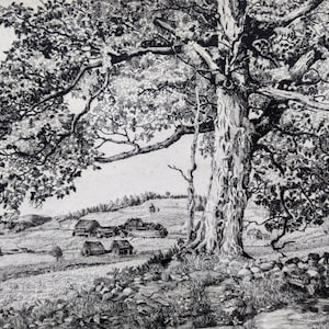 Può includere: Un disegno in bianco e nero di un grande albero con un tronco spesso e molti rami. L'albero è in primo piano dell'immagine, e sullo sfondo, ci sono diverse piccole case su una collina.