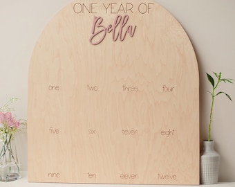 One Year of Photo Board Wood My First Year Photo Board Milestone Picture 1st Birthday Arch First Birthday Decorations Girl 12 Months Photo