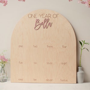 One Year of Photo Board Wood My First Year Photo Board Milestone Picture 1st Birthday Arch First Birthday Decorations Girl 12 Months Photo