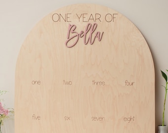 My First Year One Year of Photo Board Wooden Milestone Board 1st Birthday Milestone Board First Birthday Decorations 12 Months Photo Banner