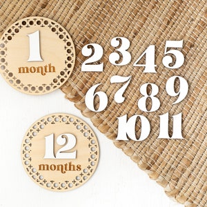 Month Milestone Disc for Baby Monthly Wooden Signs Baby Photo Props Month Marker Cards Newborn Baby Shower Gift Wooden Disc New Mom Gift