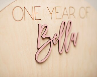 One Year of Photo Board Wood My First Year Photo Board Milestone Picture 1st Birthday Arch First Birthday Decorations Girl 12 Months Photo