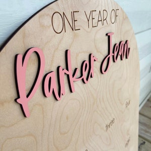 First Birthday Party Milestone Photo Display