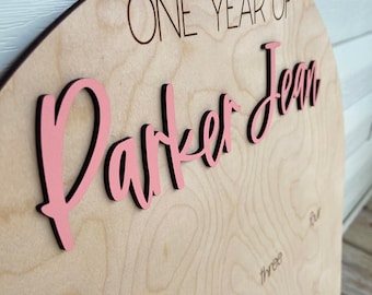 One Year of Photo Board Wood My First Year Photo Board Milestone Picture 1st Birthday Arch First Birthday Decorations Girl 12 Months Photo