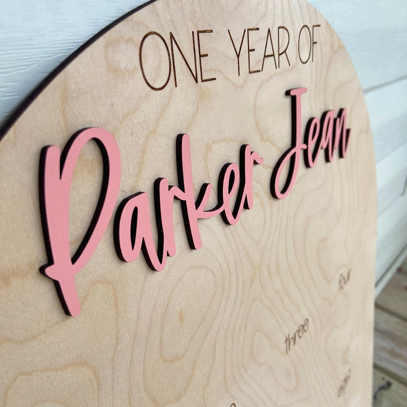First Birthday Party Milestone Photo Display