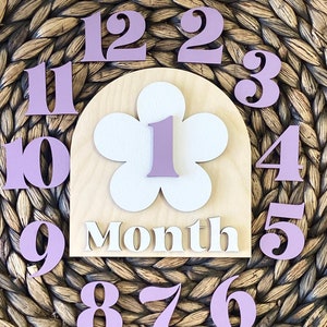 Wooden Monthly Milestone Baby Disc Baby Milestone Cards Monthly Milestone Markers for Baby Photos Baby Photo Prop Baby Shower Month Photos image 1