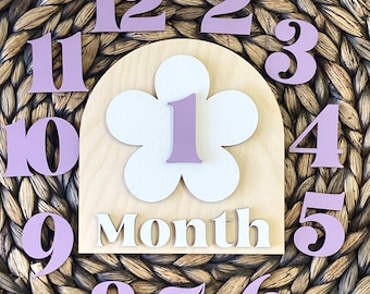 Wooden Monthly Milestone Baby Disc Baby Milestone Cards Monthly Milestone Markers for Baby Photos Baby Photo Prop Baby Shower Month Photos