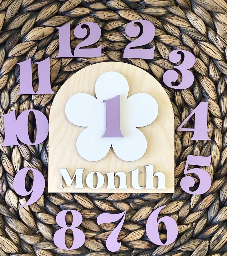 Wooden Monthly Milestone Baby Disc Baby Milestone Cards Monthly Milestone Markers for Baby Photos Baby Photo Prop Baby Shower Month Photos image 1