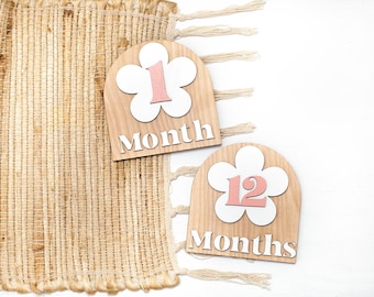 Wooden Monthly Milestone Baby Disc Baby Milestone Cards Monthly Milestone Markers for Baby Photos Baby Photo Prop Baby Shower Month Photos