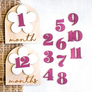 Two wooden monthly milestone markers for baby's first year photos with 12 interchangeable tropical pink numbers.