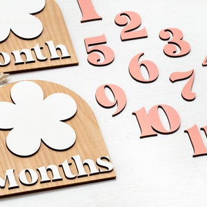 Interchangeable Milestone Card Wooden Arched Flower Boho Milestone Disc Monthly Milestone Markers My First Year Photo Prop Baby Shower Gift