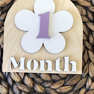 Wooden Monthly Milestone Baby Disc Baby Milestone Cards Monthly Milestone Markers for Baby Photos Baby Photo Prop Baby Shower Month Photos image 10