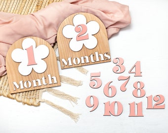 Baby Milestone Cards Monthly Milestone Interchangeable Milestone Marker Wooden Daisy Flower Arched Milestone Card Photo Prop Shower Gift