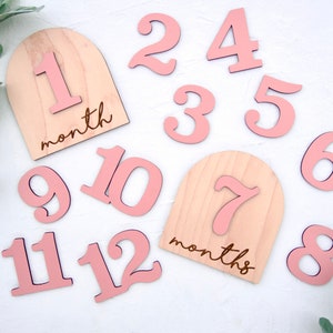 Wooden Monthly Milestone Baby Disc Baby Milestone Cards Monthly Milestone Markers for Baby Photos Baby Photo Prop Baby Shower Month Photos