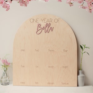 12 Months Photo Board First Birthday