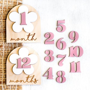 Wooden Monthly Milestone Baby Disc Baby Milestone Cards Monthly Milestone Markers for Baby Photos Baby Photo Prop Baby Shower Month Photos