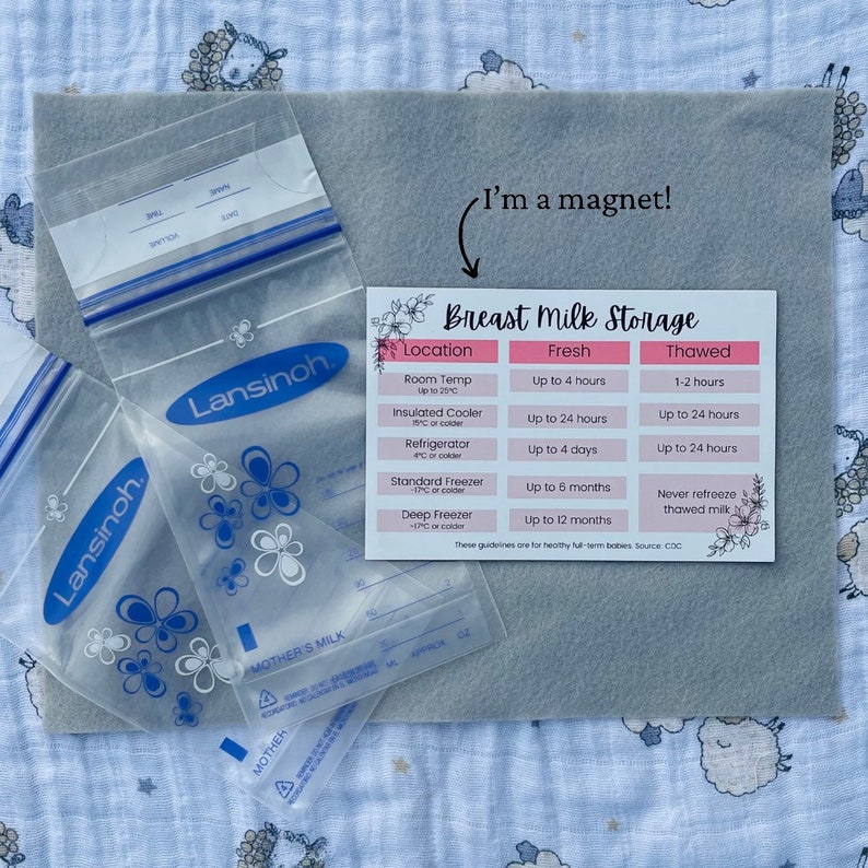 Breast Milk Storage CDC Guidelines Reference Breast Etsy