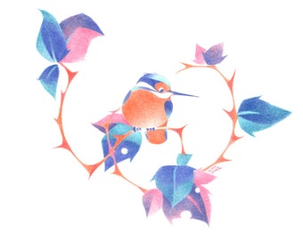 Kingfisher - Giclée Print