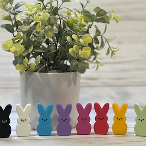 May include: A row of colorful, bunny-shaped candies in black, white, blue, purple, pink, red, yellow, and green. The candies are in front of a white pot with a green plant.