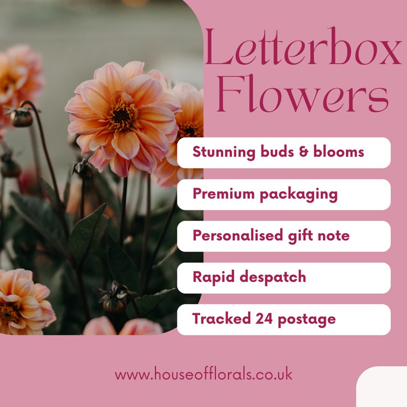 LETTERBOX FLOWERS FRESH Send some letterbox love Personalised Note Included image 2