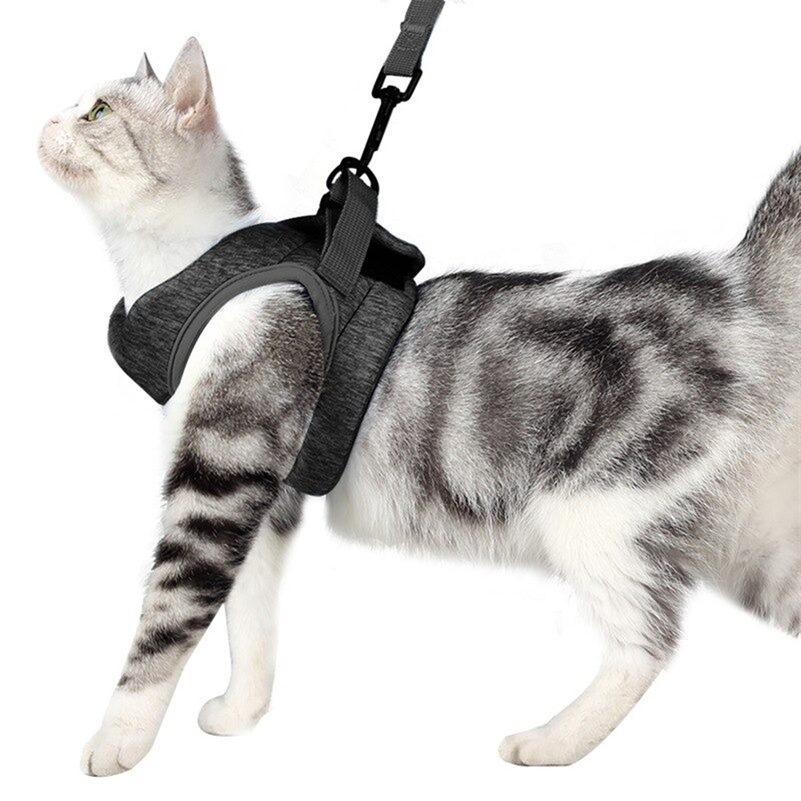 Adjustable Cat Harness Pet AntiEscape Harnessleash Set Etsy