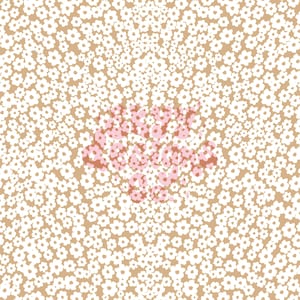 Padrão floral delicado Tan Boho sem costura para a Páscoa, padrão floral delicado sem costura para sublimações de tecido