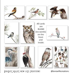 Coleção de cartões comemorativos de aquarela de pássaros com envelopes, 4 x 6