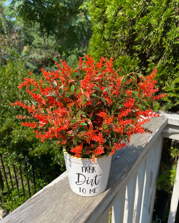 Orange Floral Arrangement Outdoor Plant Fall Flowers Etsy