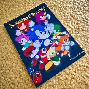 SONIC THE FIGHTERS art print