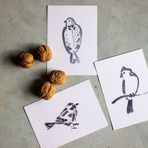 3 pajaritos, postales de pajaritos 3 piezas, tarjetas de felicitación, tarjetas de agradecimiento, simpatía, bautizo, boda, DIN A6, tinta y pincel, mínimo